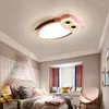 Ceiling Lights Nordic Chandelier Ventilador De Techo Cafe El Bedside Aluminum Living Room Bedroom Ligting