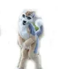 Furry Husky Dog BENT LEGS Fursuit Mascot Costume Faux Fur Suit Party Outfit Dress Adult Size Outdoor Decorations