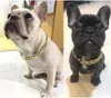 Hundebekleidung Halskette Halsband Welpe Mode Pitbull Goldkette Cooler Metallschmuck und Zubehör für Hunde Katzen