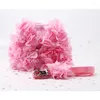 Obroże dla psów różowy oddychający stereo kwiat wiązki wiązki małej pet smyczy Zestaw szczeniaka akcesoria