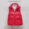 Womens Vests Puffy Jacket Sleeveless Woman Jackets Designer Coat Matte Slim Outwears Coats parsnip