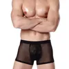 Onderbroek 3D -print boksers shorts ijs zijde transparant u convex zakje mesh ondergoeden naadloze lage taille home lounge cuecas