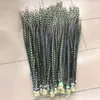 Wholesale natural pheasant tail feathers 10-55 cm / 4-21.66inches Festival and party supplies > > celebration party supplies