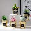 Decorative Flowers Simulation Potted Plant Cute Desktop Decoration Small Nordic Gold-plated Artificial Succulent Bonsai For Office