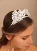 Copricapi argento ali d'argento a corona a corona cristallo spose copricapo di peli di lussuoso pezzi per capelli pezzi da ballo della festa della festa della festa
