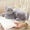 25 cm-33cm simulatie vaste kleur kat pluche speelgoed Amerikaans shorthai siamese kitty schattige huisdier pop knuffel dier kinderen huisdecoratie