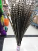 Wholesale natural pheasant tail feathers 10-55 cm / 4-21.66inches Festival and party supplies > > celebration party supplies
