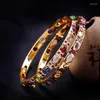 Bangle S925 Серебряная эмалевая набор с разноцветными натуральными производителями браслетов Direct Chaise