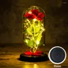 Fiori decorativi Fiore eterno Copertura in vetro con lampada a led Lamina d'oro rosa Regalo di San Valentino Ornamenti di compleanno per amiche