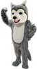 Costume de mascotte gris Husky chien loup Halloween pour adulte, tenue de jeu de fête, mascotte en mousse, carnaval, noël, pâques, adulte