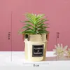 Decorative Flowers Simulation Potted Plant Cute Desktop Decoration Small Nordic Gold-plated Artificial Succulent Bonsai For Office