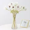 Fleurs décoratives 5pcs branche unique imitation PU herbe motif pivoine fournitures de mariage sentir soie fleur boutique fenêtre accessoires fête maison