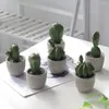 Simulation artificielle d'ornement de cactus de ciment de fleurs décoratives pour la figure de bureau de moule d'affichage à la maison