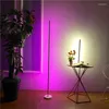 Vloerlampen Noordelijke RGB LED LAMP Dimpelbare streaminglichten Woonkamer Slaapkamer Kantoor Standaard Decor Lichtarmaturen