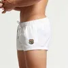 Bademode Herren Badeshorts Sexy Badehose Für Badeanzug Strand Badeanzug Board Kurze Hosen Homosexuell Boxer Briefs 20223020259Y