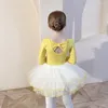 Stage Wear High Quality Low MOQ Children Dance Ballet Leotard With Skirt Kids Girls 2 Pieces Dresses