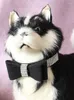 Dog Collars Pet Rhinestones Bow Knot Collar Cat Cute Soft Small Durable Adjustable Necklace Puppy Tie Accessories