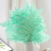 Decorative Flowers 10PCS Dried Preserved Fern Leaf Naturally Made Alpine Party Home Decor Accessories Mariage Nature DIY Material