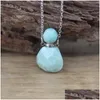 Pendant Necklaces Drop Shape Mini Per Bottle Pendants Siery Chains Labradorite Amazonite Essential Oil Vial Charms Necklace Jewelry D Dhp5Z