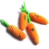 Cat Toys 1PC Plush Carrot Dog Toy Interactive Soft Squeaky Kitten Chew Pet Teeth Cleaning Puppy Training