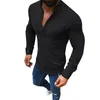 Men's Casual Shirts Men Linen Long Sleeve Top V Neck Button Up Shirt Male Business Fit Blouse Solid