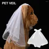 Hundkläder Classic Wedding Veil Bridal Costume Boutique Puppy Cat Pets Accessory Grooming Drop Ship Accessories