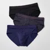 UNDUPTS 3 PC/LOT SEXY MEN ENDAY Yumuşak Kılavuzlar Mesh Nefes Alabilir Erkek Naylon Homme Bikini Beden 4xl