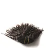 Extensions de cheveux naturels brésiliens Remy à clips, cheveux crépus bouclés, couleur noire naturelle, 120G, 8 pièces/ensemble Clips Ins