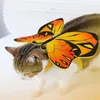 Cat Costumes Multicolor Funny Cosplay Cartoon Cats/Dogs Butterfly Print Halloween Pet Decoration Costume Transformation