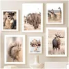 Paintings Nordic Poster African Animal Lion Tiger Elephant Deer Giraffe Pictures Wall Art Canvas For Living Room Interior Decor Drop Dhnow