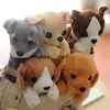 Kosmetiska väskor kawaii nyhet simulering 5 stil söta hundar blyerts fodral mjuk plysch skola brevpapper penna gåva för flicka pojke studenter 2022