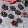Party Decoration 9pcs Christmas Natural Pine Cones Tree Cone Pendant Xmas Heterosexual Ball Home Decor