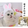 Cat Comple 2022 Funny Pet Dog Cap Case Warm Hat Year Party Christmas Cosplay Explay Po Props headwear