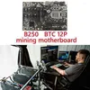 マザーボードAU42 -B250B BTCマイニンググラフィックスパワーケーブル付きマザーボード24pinスイッチ12 PCI -EスロットLGA1151 DDR4 RAM