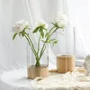 Vaser vas nordiskt glas ljus lyx dekoration hem bas blomman enhet torkad arrangemang