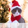 Katkostuums Kerst grappige kerstman kleding voor kleine katten honden Xmas jaar huisdierkleding winterkitten outfits