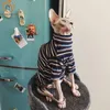 猫のコスチュームスフィンクスの衣服