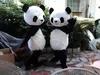 Traje de mascote de urso panda chin￪s ternos de adultos ternos de vestido extravagante festa de anivers￡rio