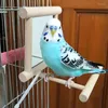 他の鳥の供給はスイングハミングバードと鏡budgieパラキートコカチエルのためのスイングハミングバードパーチのおもちゃ