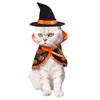 Costumes pour chats, vêtements pour animaux de compagnie, Costume de Cosplay, Cape d'halloween, ensemble de chapeaux pour chiens, accessoires Po, produits pour animaux de compagnie