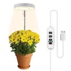 Grow Lights Angel Ring Charnu Fill Light USB Coloration Full Spectrum LED Flower Bonsai Plant Growth