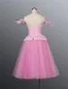 Stage Wear Professional Women Girls Performance Pink Longo Romântico Balé Tutu