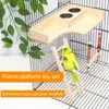 Autres fournitures pour oiseaux Jouet d'échelle amusant Support de plate-forme mignon Alimentation résistante aux morsures Bouche de broyage compacte