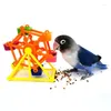 Andra fågelförsörjningar papegoja foderande leksaksvindkermill matare intelligens tillväxt färgglada rotera tuggleksaker bur tillbehör