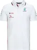 T-shirts Summer for Mercedes Bez Petronas F1 Racing Team Auto Polo Shirt Lapel Motorsport Quick Dry Breathable Casual T-shirt 436a 951p