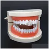 Grillz Dental Grills Yeni Sier Gold Kaplama Taç Kravalı Kristal Hip Hop Tek Diş Grillz Kapak üst alt ızgara Cadılar Bayramı Parçası Dhgarden Dhtro