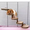 Autres fournitures d'oiseaux Hamster échelle en bois jouet escalade escaliers oiseaux perroquet exercice perches support plate-forme soins des dents molaires jouets cage