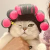Costumi per gatti Ultima parrucca con bigodini Adorabile copricapo riccio Adatto anche per cani di piccola taglia 2 taglie disponibili