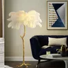 Floor Lamps Nordic Decoration Home Ostrich Feather Lamp Modern Luxury Copper For Living Room Resin Standing Light Lighting