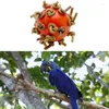 Outros pássaros suprimentos de bola mastigar brinquedo com nós 4cm dia o pé adequado para a amazon papagaio macacow eclectus cacatua cinza africana